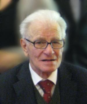 Marcello Gerolin