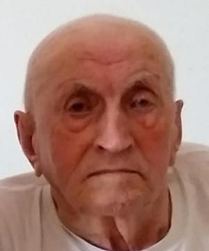 MARIO ANTONIO FOINI