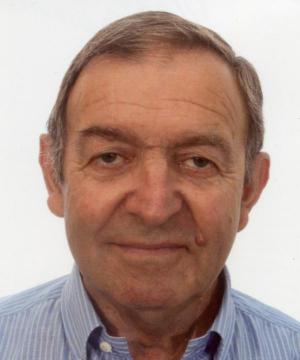 Domenico Vioto