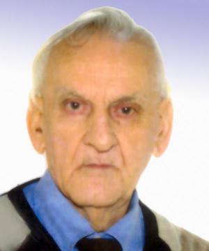 LUIGI MERONI