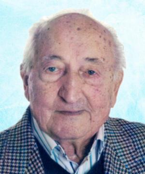 LUIGI GUERZONI