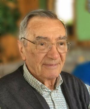 GIORGIO VIANELLO