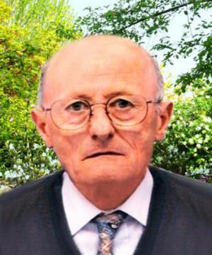 BRUNO BONDARDO