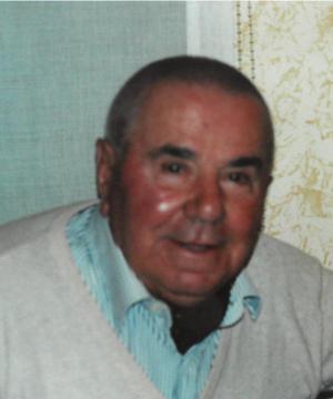 ENRICO ARCELLI