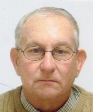 Franco Meneghel