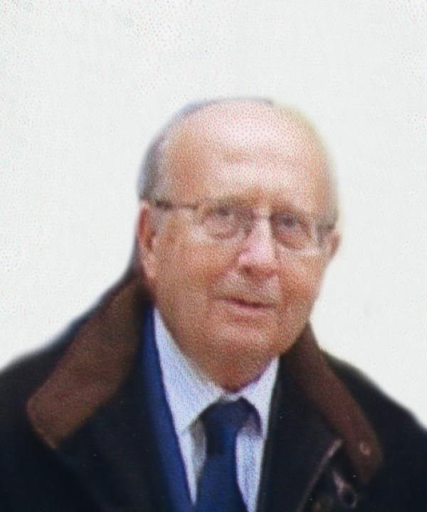 Luigi Verde