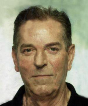 Gianfranco Endrigo