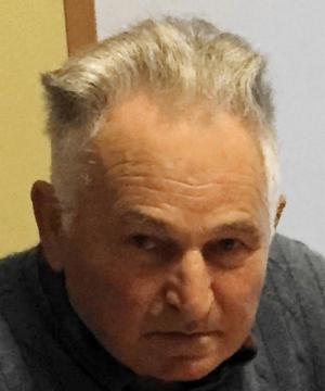 Mario Gerolami