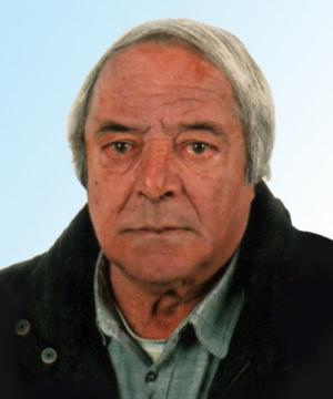 LEANDRO SIRI VIGLIONE