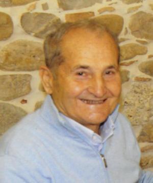 Renato Colleluori