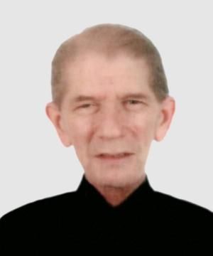 Roberto Franzin