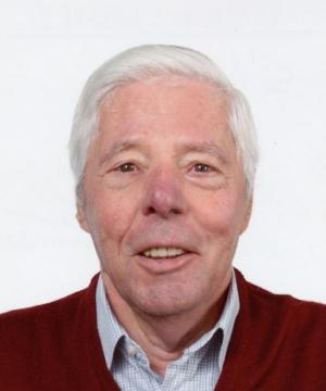 Renato Sburelin