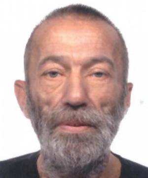 STEFANO ZIVIANI