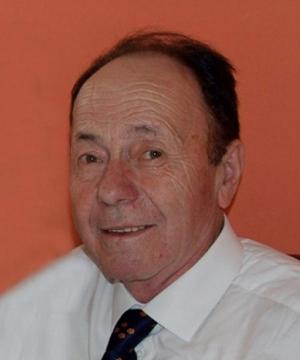 Gino Marson