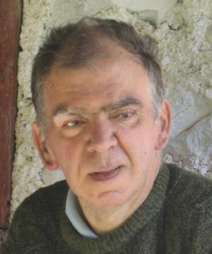 Vito Brusadin