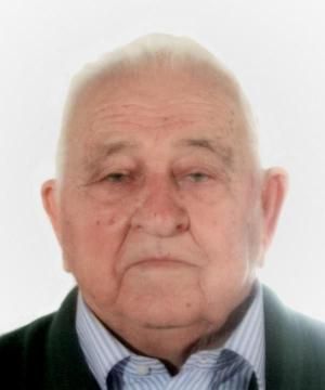 Palmino Trevisan