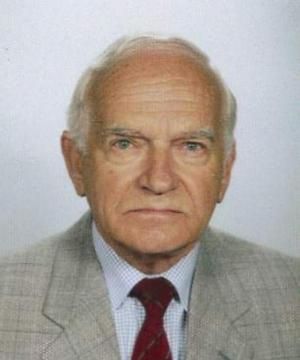 GINO MEROI