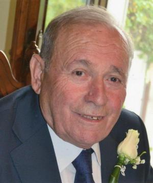 MARIO GEROTTO