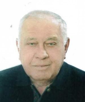 VINICIO MERLUZZI