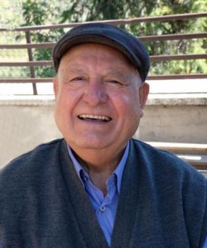 Domenico Crupi