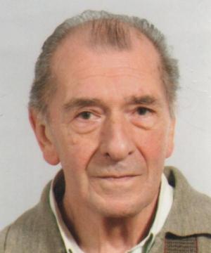 LUIGI GIORGIONI