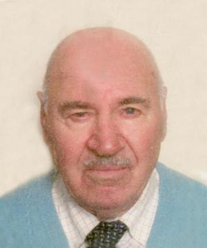 DIONISIO FRANZIN