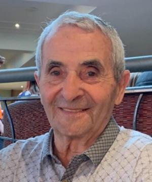 Ettore Romanin
