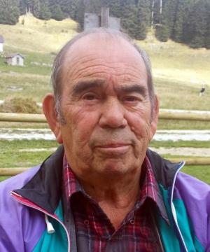 TOLDO GIANFRANCO
