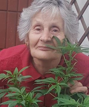 MAFALDA TORREGGIANI
