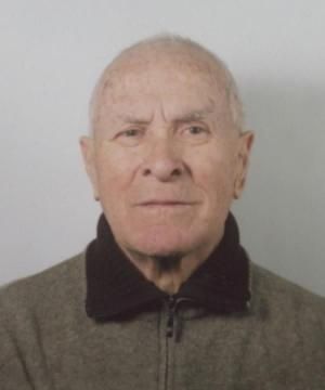 Gino Bartolini