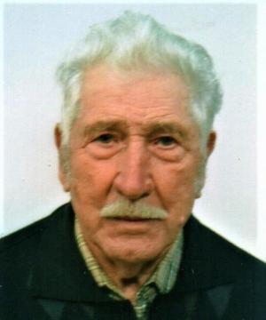 ALFIERO DOMINICI