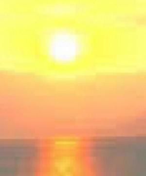 MARIA CRISTINA CRISTONI