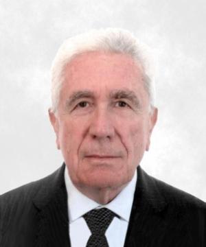 Vincenzo Trevisiol
