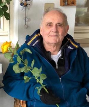 Cav. Dott. Gino Innocente
