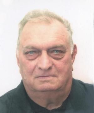 Dino Bassetto