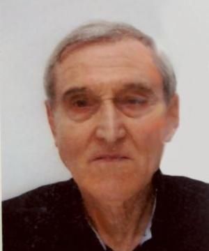 Giorgio Rosa