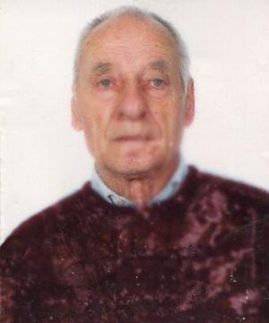 TORQUATO FERRINI