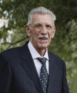 Gino Luvisutto