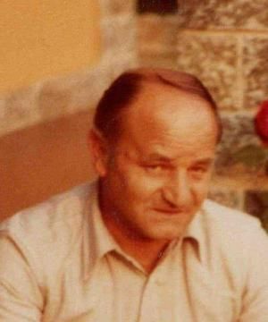 GIOVANNI MONTICELLI