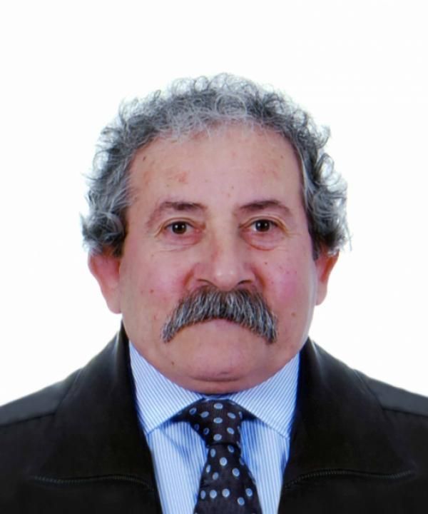 Giancarlo Blini