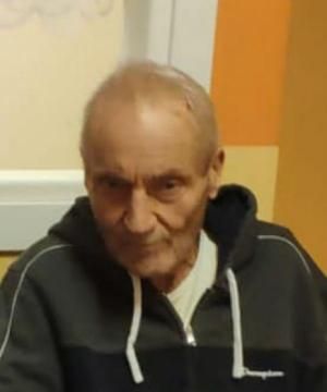 Amato Domenico Foglietta