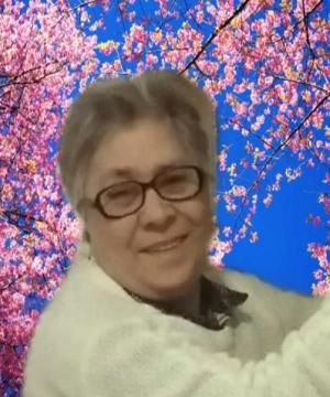 SANTINA D'ARENZO