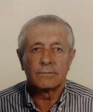 ALFONSO PITTONI