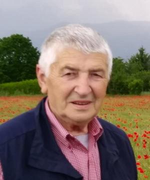ALDINO GAIOTTO