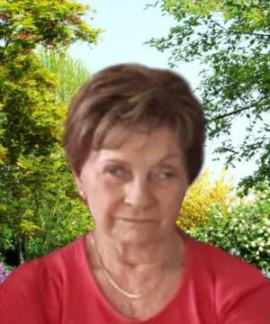 MARIA ROSA CAMPI