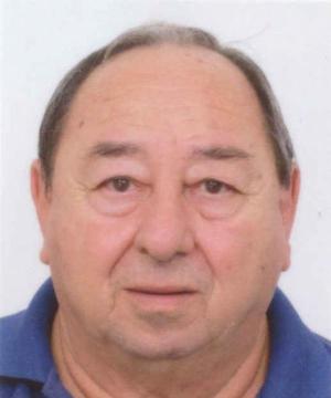 Giuliano Trevisiol