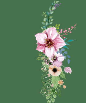 Marilena Cereser