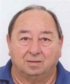 Giuliano Trevisiol
