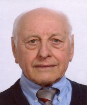 LUIGI ROMANIN