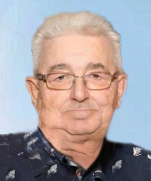 MAURO FIORINI